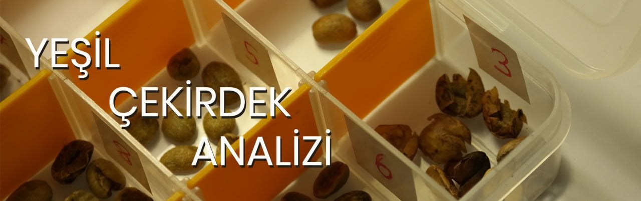 Kusurlu Çekirdek Sınıflandırma Rehberi
