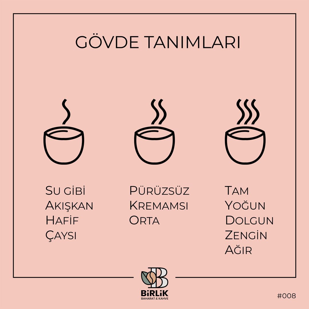 Gövdeyi Nasıl Tanımlarız?
