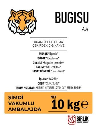 UGANDA BEGISHU AA ÇİĞ KAHVE - VAKUM 10 KG